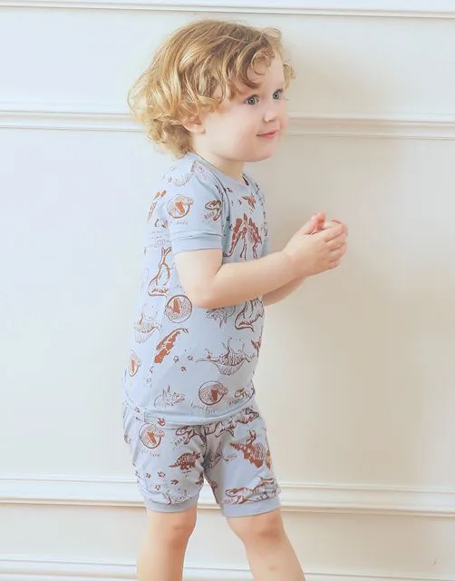 Dinosaur Museum Short PJs