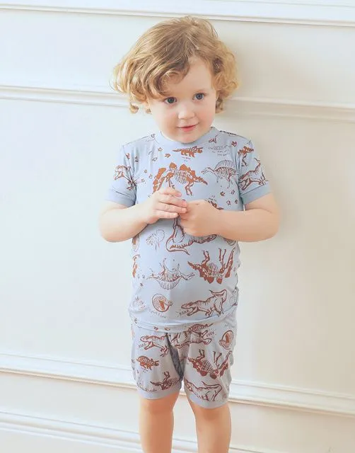 Dinosaur Museum Short PJs