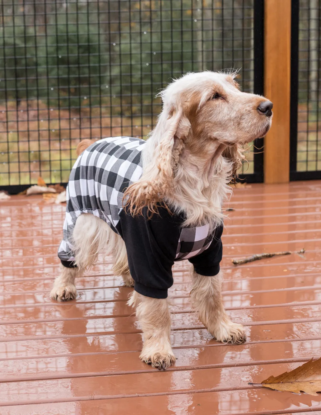 Dog Plaid Pajamas