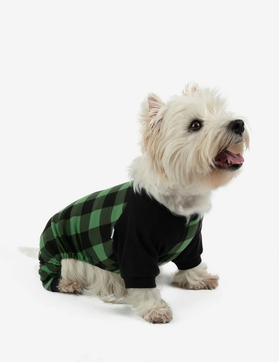 Dog Plaid Pajamas