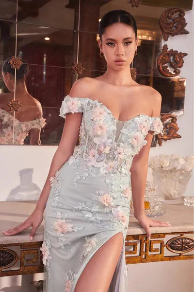 Mist Off The Shoulder Floral Applique Gown